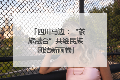 四川马边：“茶旅融合”共绘民族团结新画卷