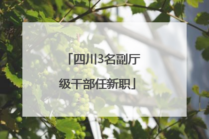 四川3名副厅级干部任新职