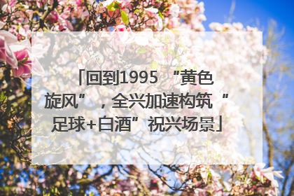 回到1995 “黄色旋风”，全兴加速构筑“足球+白酒”祝兴场景