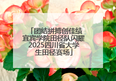 团结拼搏创佳绩 宜宾学院田径队闪耀2025四川省大学生田径赛场