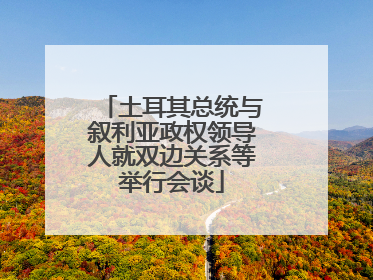 土耳其总统与叙利亚政权领导人就双边关系等举行会谈