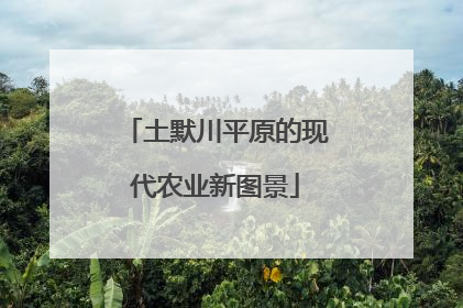 土默川平原的现代农业新图景