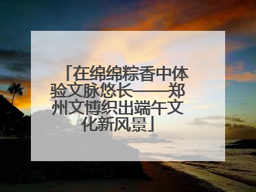 在绵绵粽香中体验文脉悠长——郑州文博织出端午文化新风景