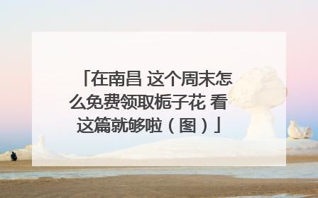 在南昌 这个周末怎么免费领取栀子花 看这篇就够啦（图）