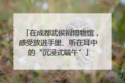 在成都武侯祠博物馆，感受放进手里、听在耳中的“沉浸式端午”