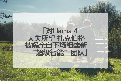 对Llama 4大失所望 扎克伯格被曝亲自下场组建新“超级智能”团队