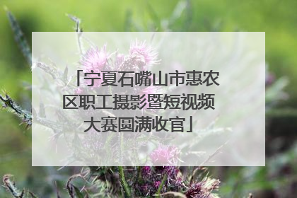 宁夏石嘴山市惠农区职工摄影暨短视频大赛圆满收官