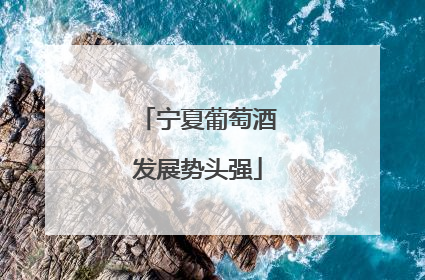 宁夏葡萄酒发展势头强