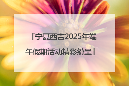 宁夏西吉2025年端午假期活动精彩纷呈