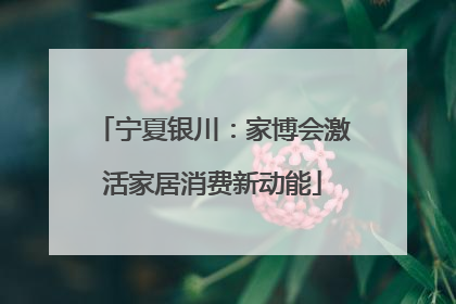 宁夏银川：家博会激活家居消费新动能