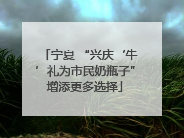 宁夏 “兴庆‘牛’礼为市民奶瓶子”增添更多选择