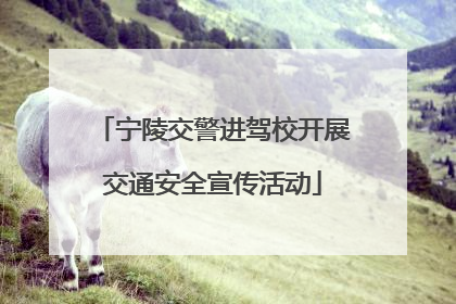 宁陵交警进驾校开展交通安全宣传活动