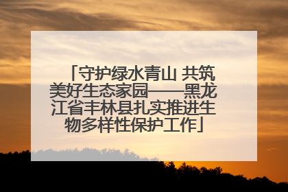 守护绿水青山 共筑美好生态家园——黑龙江省丰林县扎实推进生物多样性保护工作