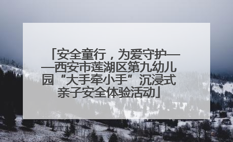 安全童行，为爱守护——西安市莲湖区第九幼儿园“大手牵小手”沉浸式亲子安全体验活动