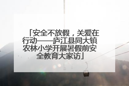 安全不放假，关爱在行动——庐江县同大镇农林小学开展暑假前安全教育大家访