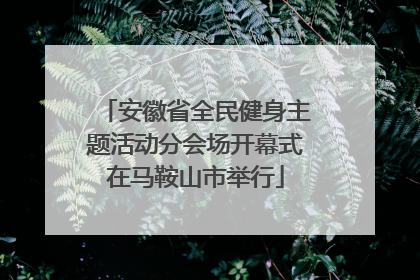 安徽省全民健身主题活动分会场开幕式在马鞍山市举行