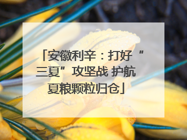 安徽利辛：打好“三夏”攻坚战 护航夏粮颗粒归仓