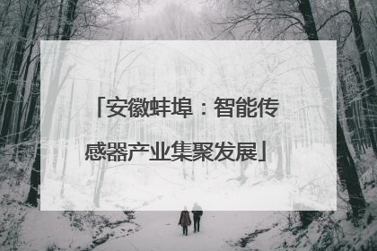 安徽蚌埠：智能传感器产业集聚发展