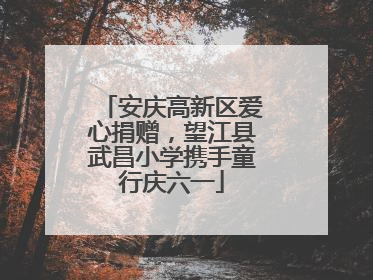 安庆高新区爱心捐赠，望江县武昌小学携手童行庆六一