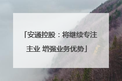 安通控股：将继续专注主业 增强业务优势