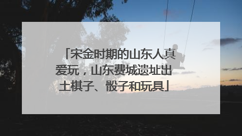 宋金时期的山东人真爱玩，山东费城遗址出土棋子、骰子和玩具