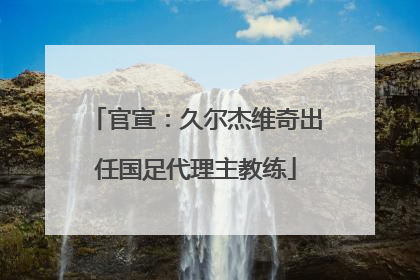 官宣：久尔杰维奇出任国足代理主教练