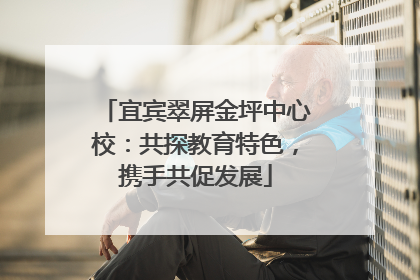 宜宾翠屏金坪中心校：共探教育特色，携手共促发展