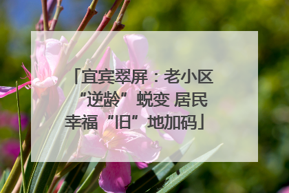 宜宾翠屏：老小区“逆龄”蜕变 居民幸福“旧”地加码
