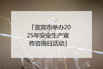 宜宾市举办2025年安全生产宣传咨询日活动