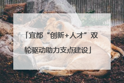 宜都“创新+人才”双轮驱动助力支点建设