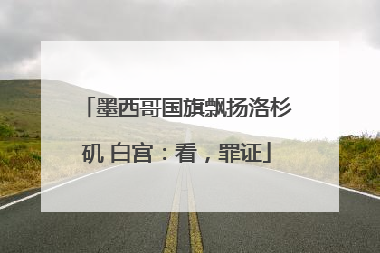 墨西哥国旗飘扬洛杉矶 白宫：看，罪证