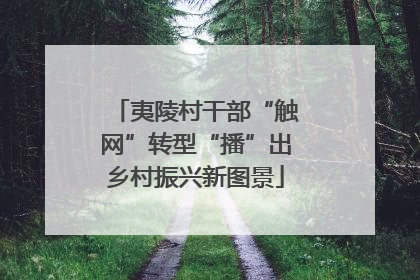 夷陵村干部“触网”转型“播”出乡村振兴新图景