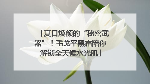 夏日焕颜的“秘密武器”！毛戈平黑霜陪你解锁全天候水光肌