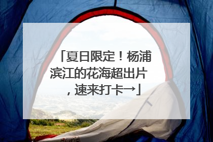 夏日限定！杨浦滨江的花海超出片，速来打卡→