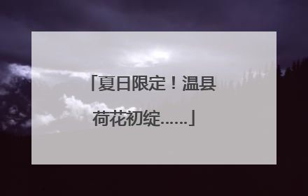 夏日限定！温县荷花初绽……