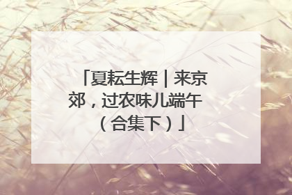夏耘生辉｜来京郊，过农味儿端午（合集下）