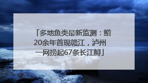 多地鱼类最新监测：鳤20余年首现赣江，泸州一网捞起67条长江鲟