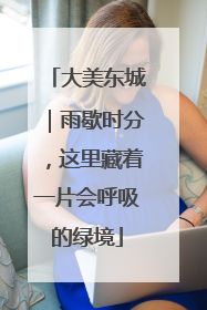 大美东城｜雨歇时分，这里藏着一片会呼吸的绿境