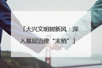 大兴文明树新风：深入基层治理“末梢”
