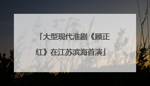 大型现代淮剧《顾正红》在江苏滨海首演