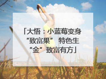 大悟：小蓝莓变身“致富果” 特色生“金”致富有方