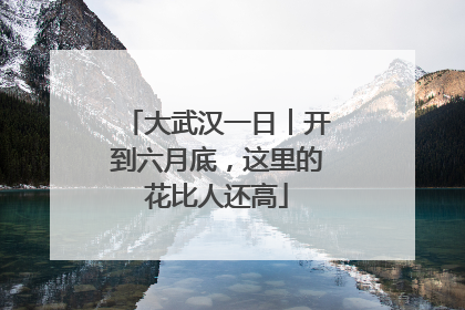 大武汉一日︱开到六月底，这里的花比人还高