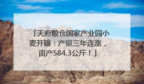 天府粮仓国家产业园小麦开镰：产量三年连涨，亩产584.3公斤！