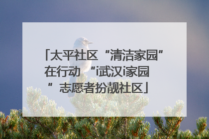 太平社区“清洁家园”在行动 “i武汉i家园”志愿者扮靓社区