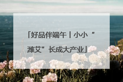 好品伴端午丨小小“潍艾”长成大产业