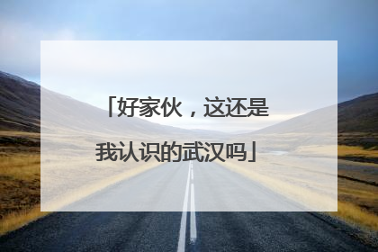 好家伙，这还是我认识的武汉吗