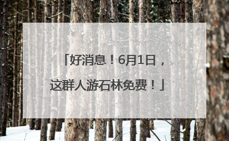 好消息！6月1日，这群人游石林免费！