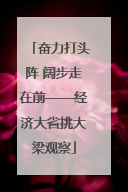 奋力打头阵 阔步走在前——经济大省挑大梁观察