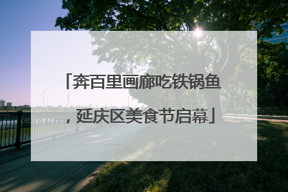 奔百里画廊吃铁锅鱼，延庆区美食节启幕