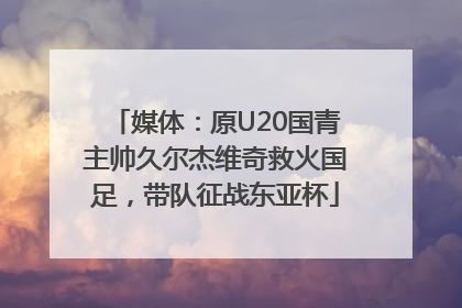 媒体：原U20国青主帅久尔杰维奇救火国足，带队征战东亚杯